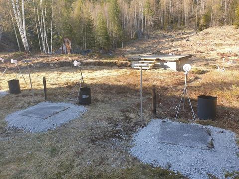 Hare/rådyrjakt for ungdom